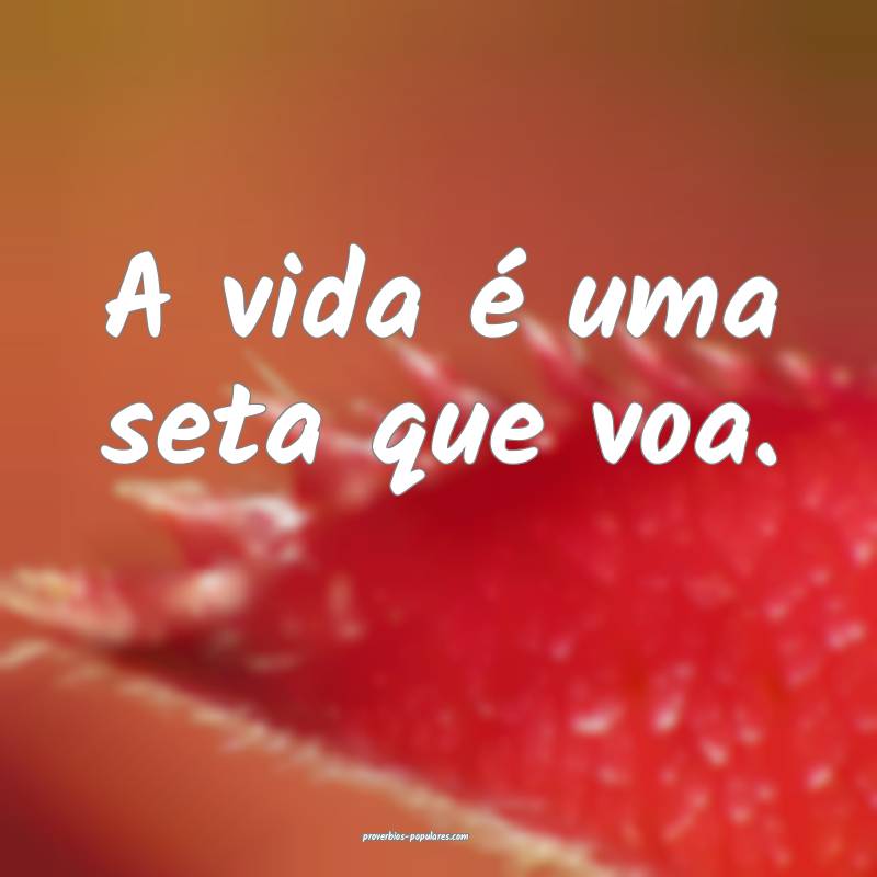 A vida é uma seta que voa.
...