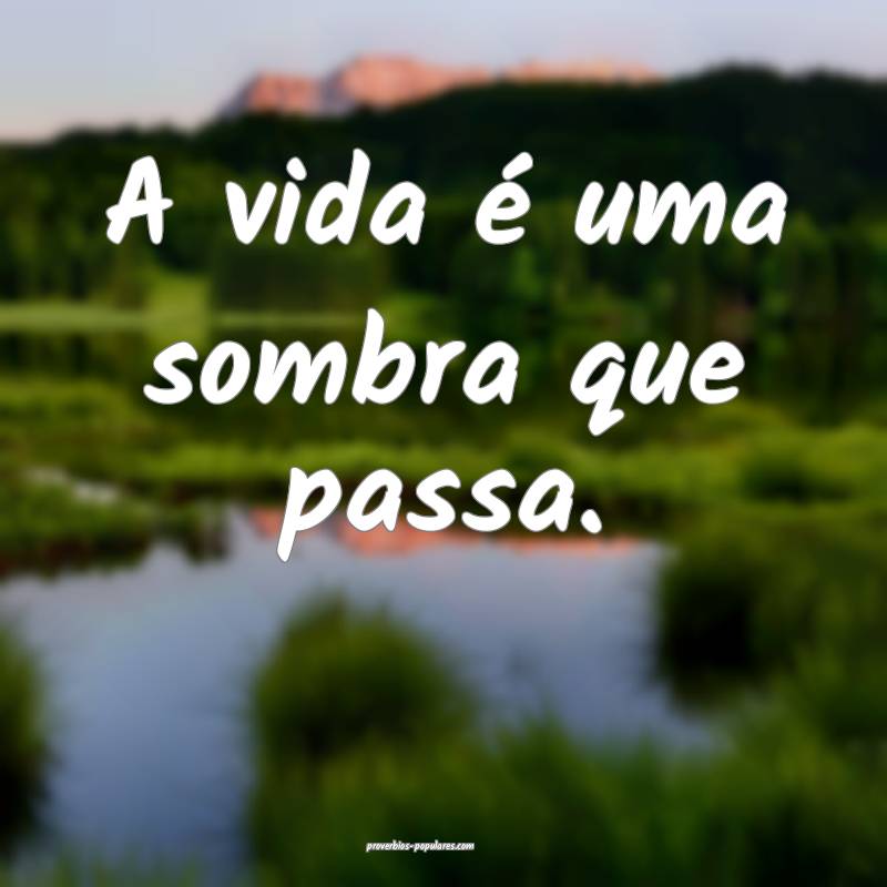 A vida é uma sombra que passa.
...