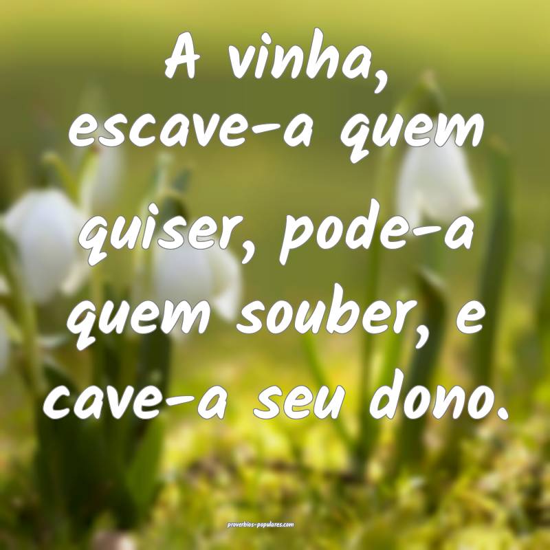 A vinha, escave-a quem quiser, pode-a quem souber, e cave-a seu dono.
...