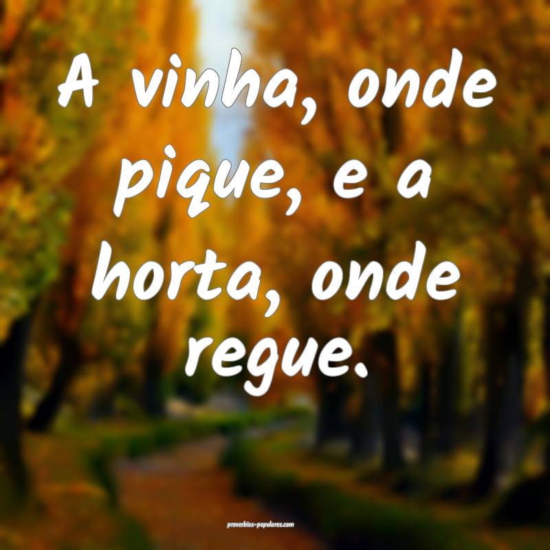 A vinha, onde pique, e a horta, onde regue.
 ...