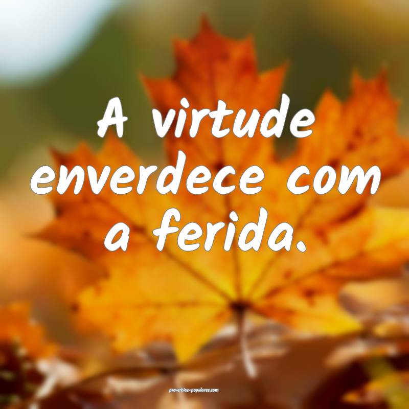 A virtude enverdece com a ferida.
...