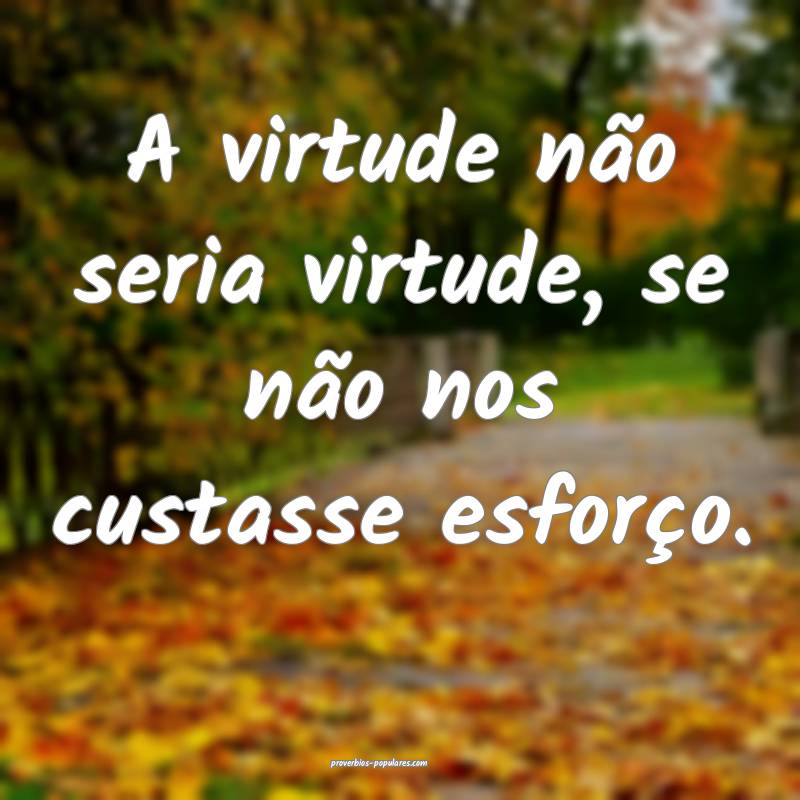 A virtude não seria virtude, se não nos custasse esforço.
...