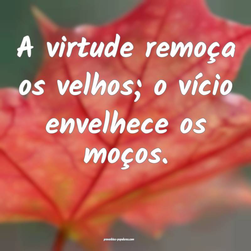 A virtude remoça os velhos; o vício envelhece os moços.
...