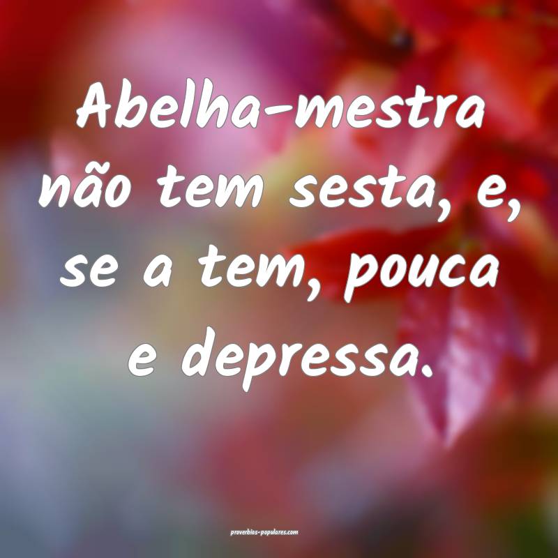 Abelha-mestra não tem sesta, e, se a tem, pouca e depressa.
...
