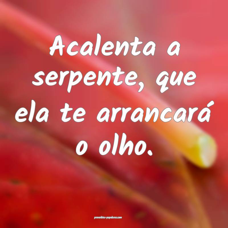 Acalenta a serpente, que ela te arrancará o olho. ...