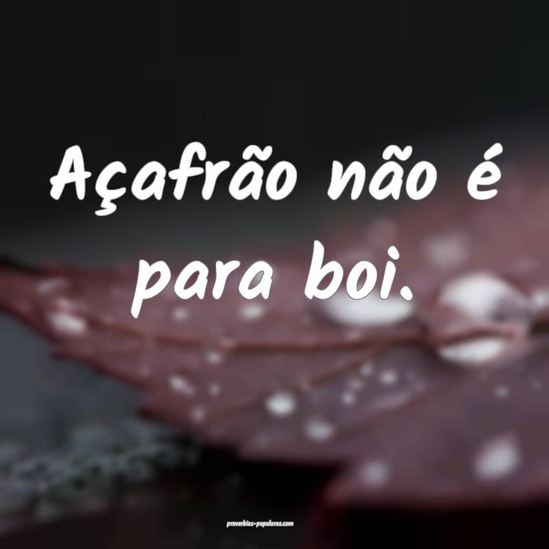 Açafrão não é para boi.
 ...