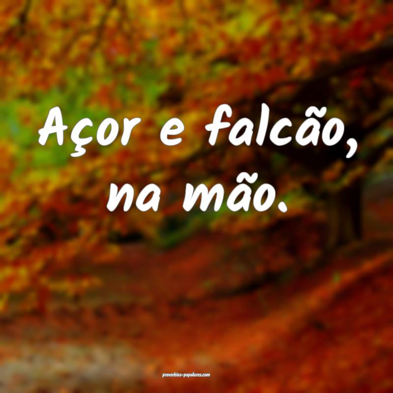 Açor e falcão, na mão.
...
