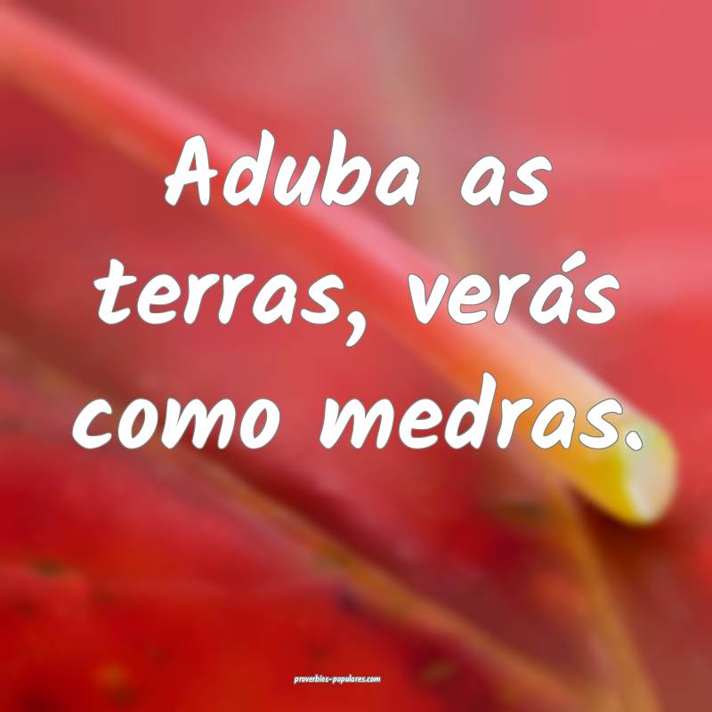 Aduba as terras, verás como medras.
...