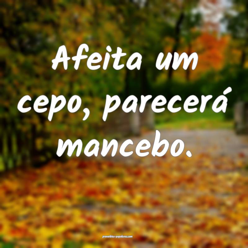 Afeita um cepo, parecerá mancebo.
...