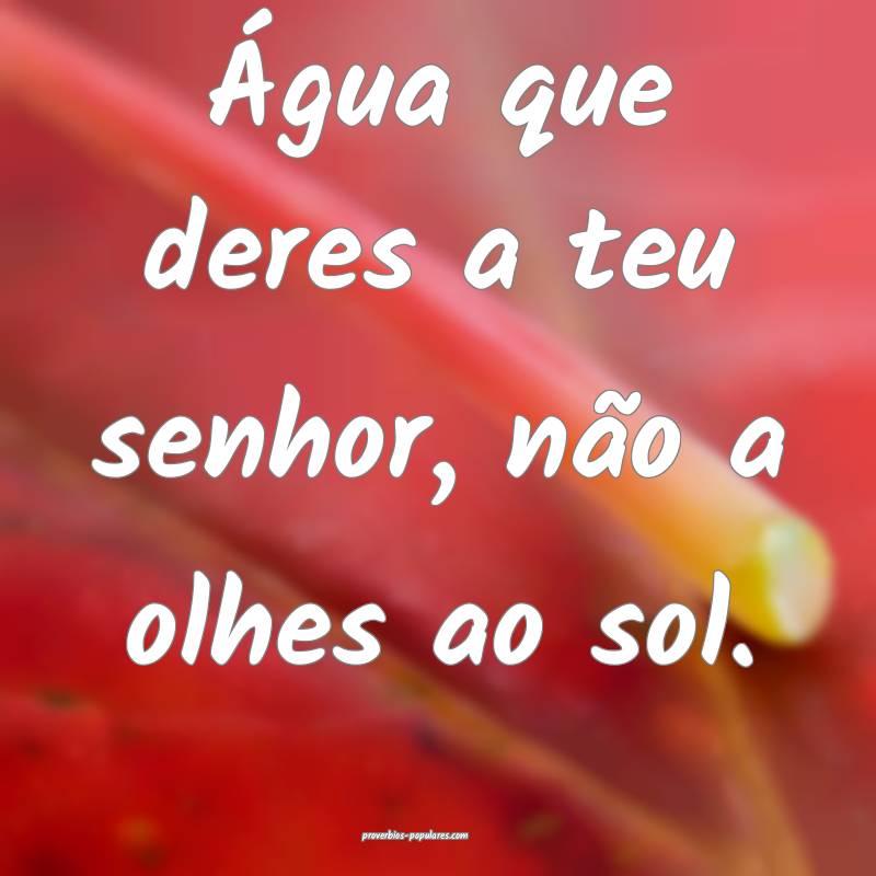 Água que deres a teu senhor, não a olhes ao sol.
...