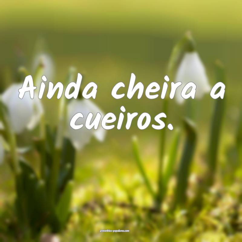 Ainda cheira a cueiros.
...