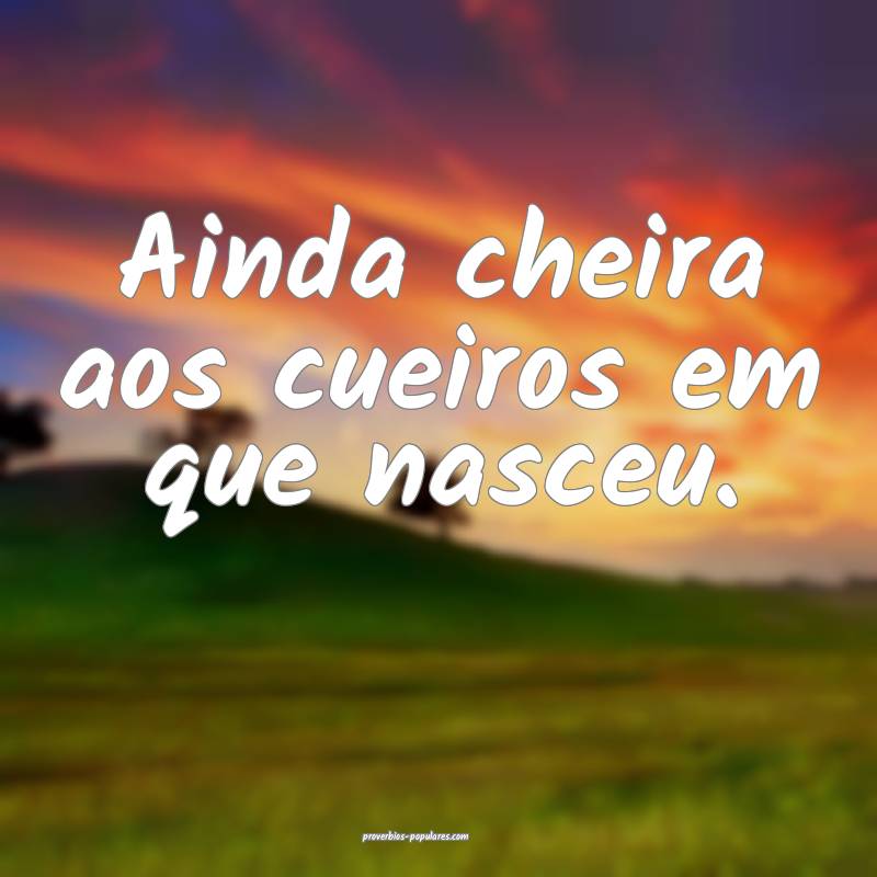 Ainda cheira aos cueiros em que nasceu.
...