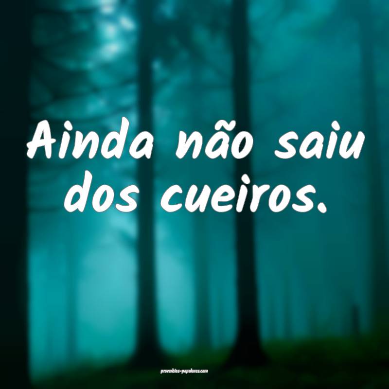 Ainda não saiu dos cueiros.
...