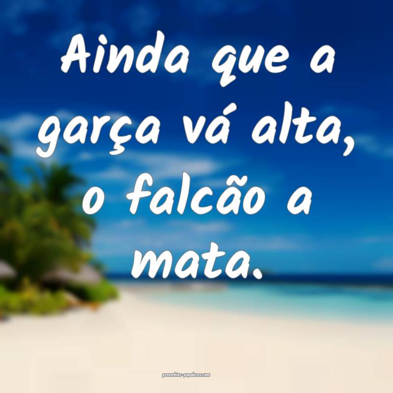 Ainda que a garça vá alta, o falcão a mata.
...