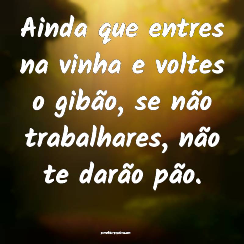 Ainda que entres na vinha e voltes o gibão, se n ...