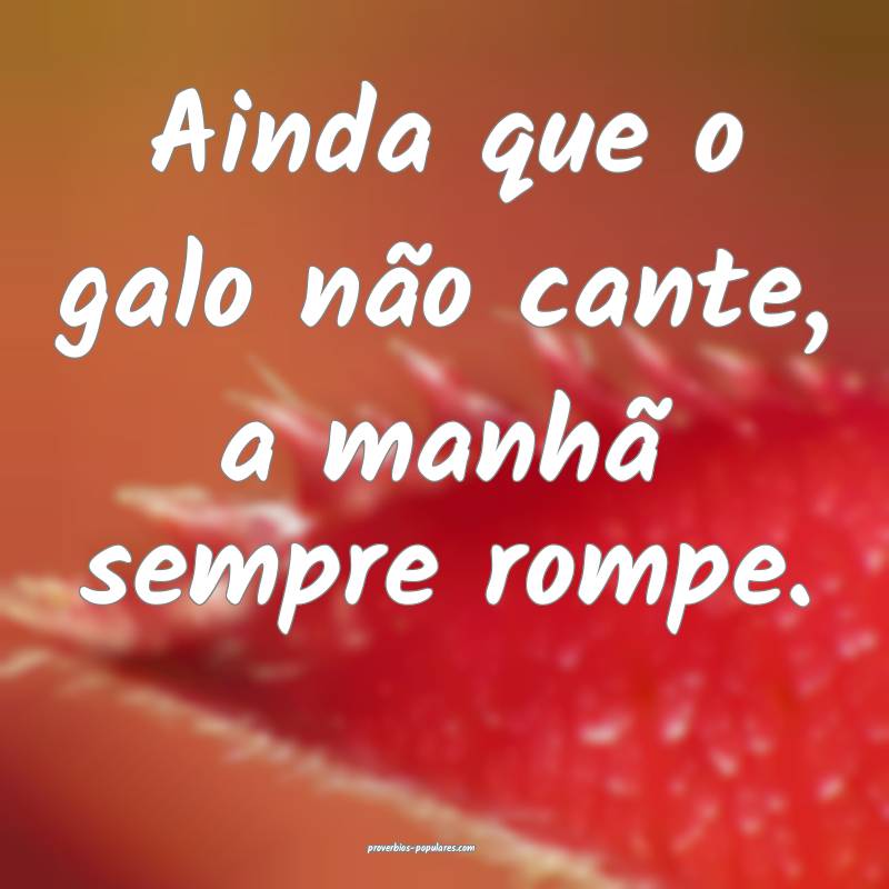 Ainda que o galo não cante, a manhã sempre rompe.
...