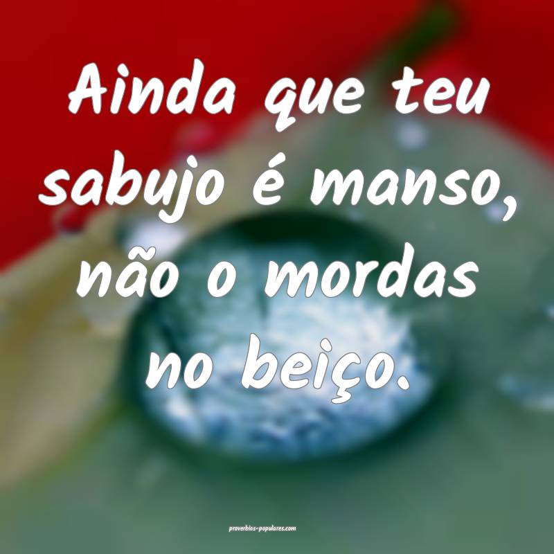 Ainda que teu sabujo é manso, não o mordas no beiço.
...