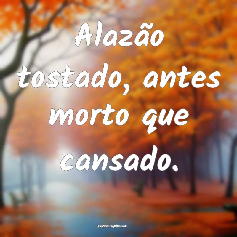 Alazão tostado, antes morto que cansado.
 ...