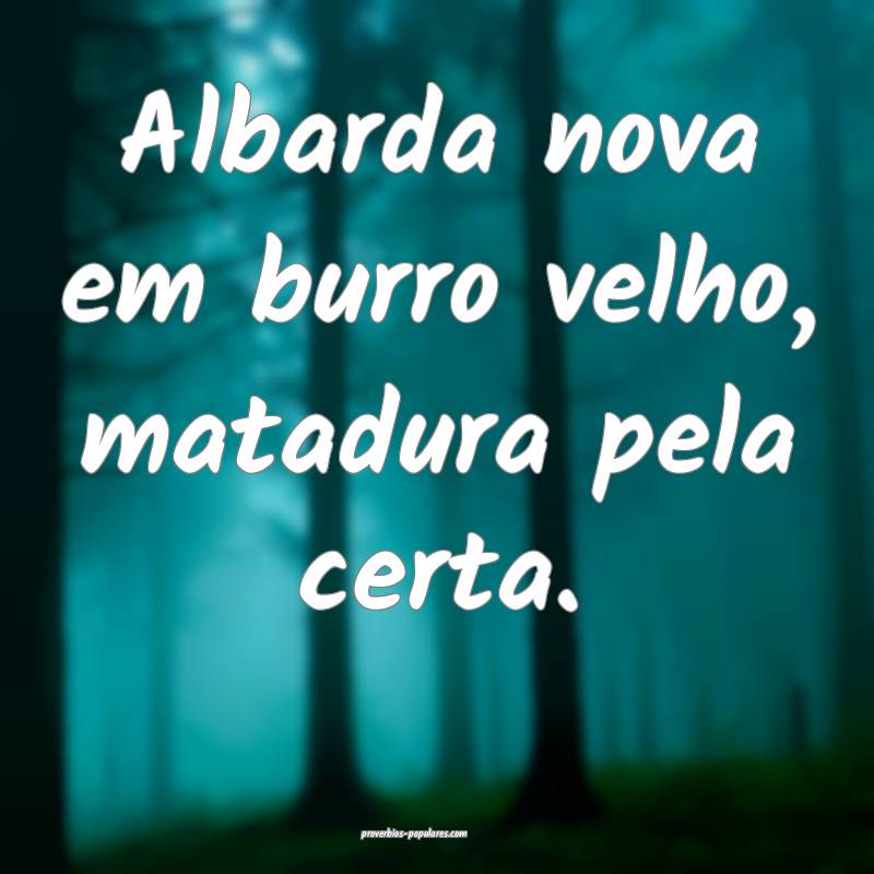 Albarda nova em burro velho, matadura pela certa.
 ...