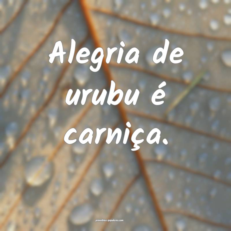 Alegria de urubu é carniça.
 ...