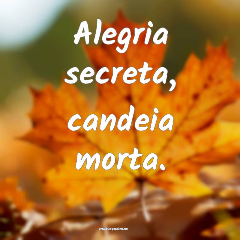 Alegria secreta, candeia morta.
...