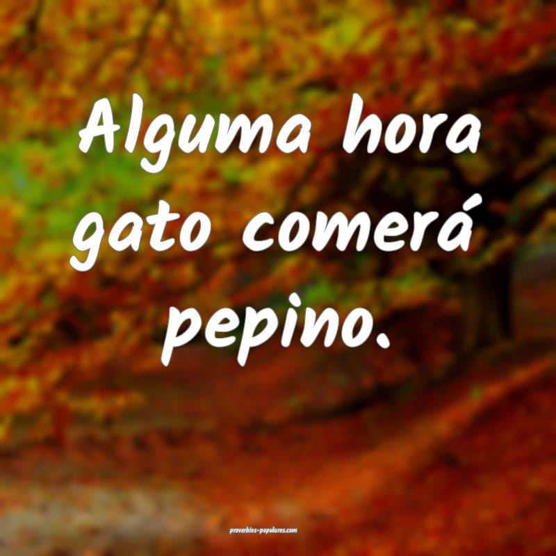 Alguma hora gato comerá pepino.
...