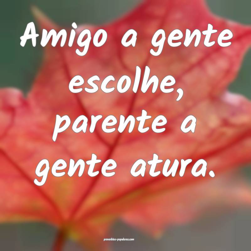 Amigo a gente escolhe, parente a gente atura.
 ...