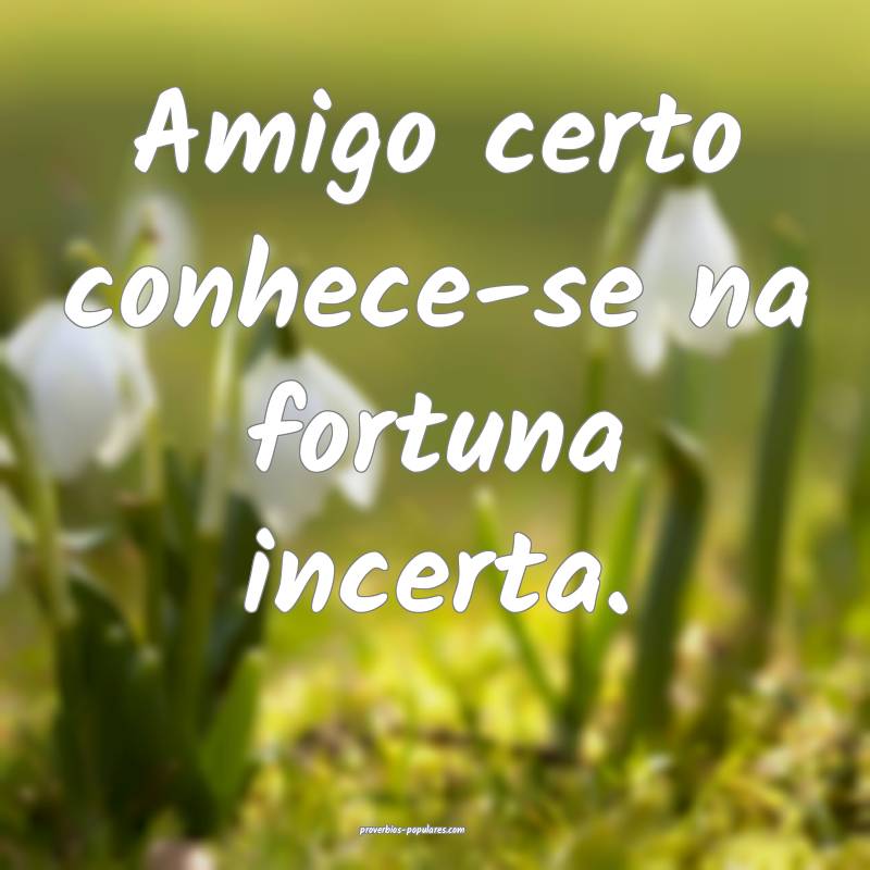 Amigo certo conhece-se na fortuna incerta.
...