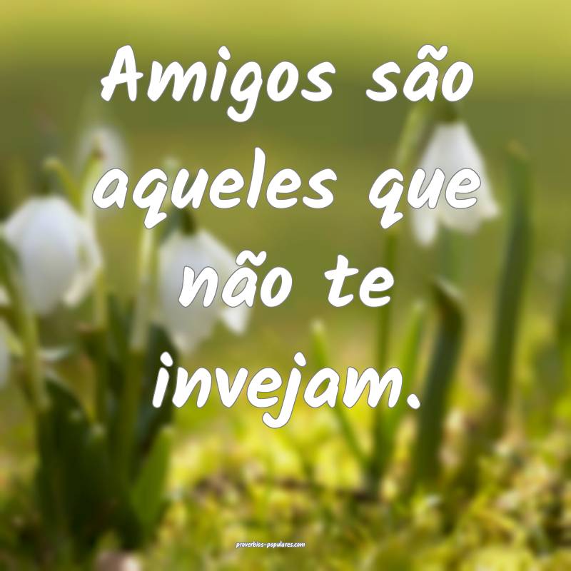 Amigos são aqueles que não te invejam.
...