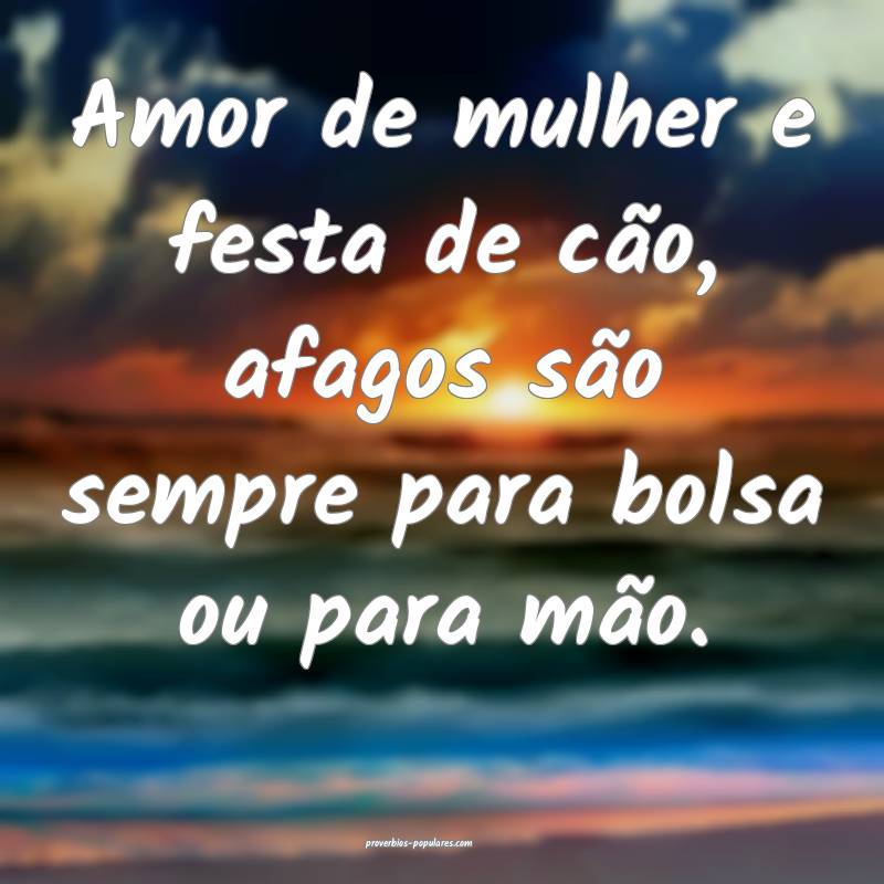 Amor de mulher e festa de cão, afagos são sempre para bolsa ou para ...