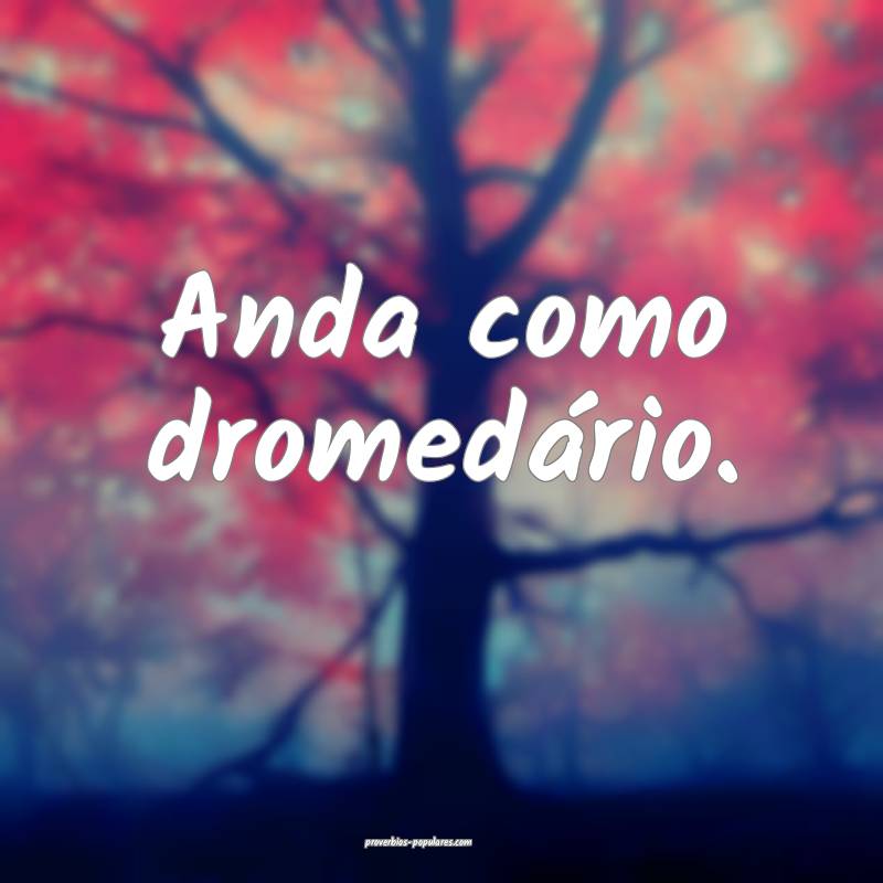 Anda como dromedário.
 ...