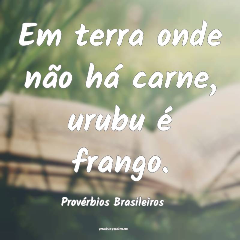 Em terra onde não há carne, urubu é frango.
...