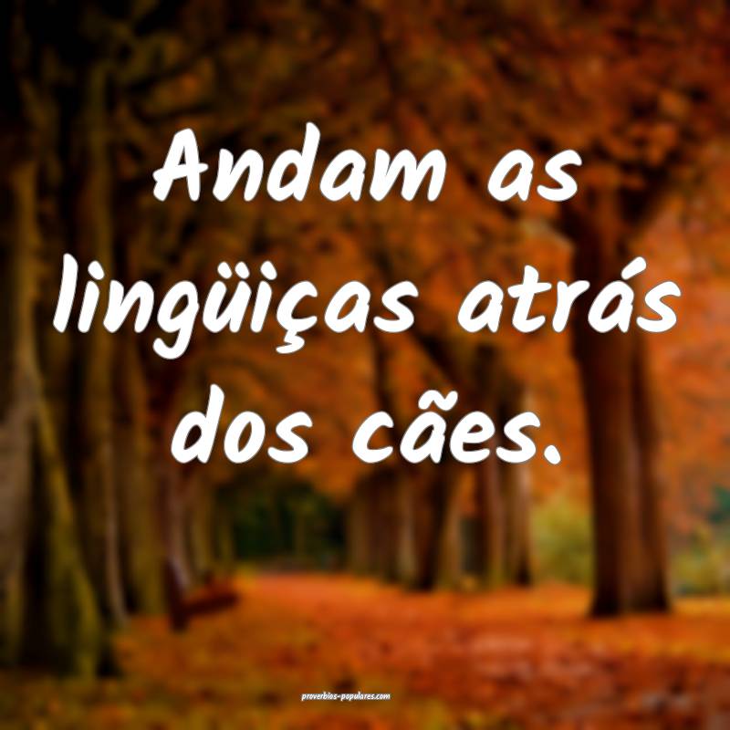Andam as lingüiças atrás dos cães.
...