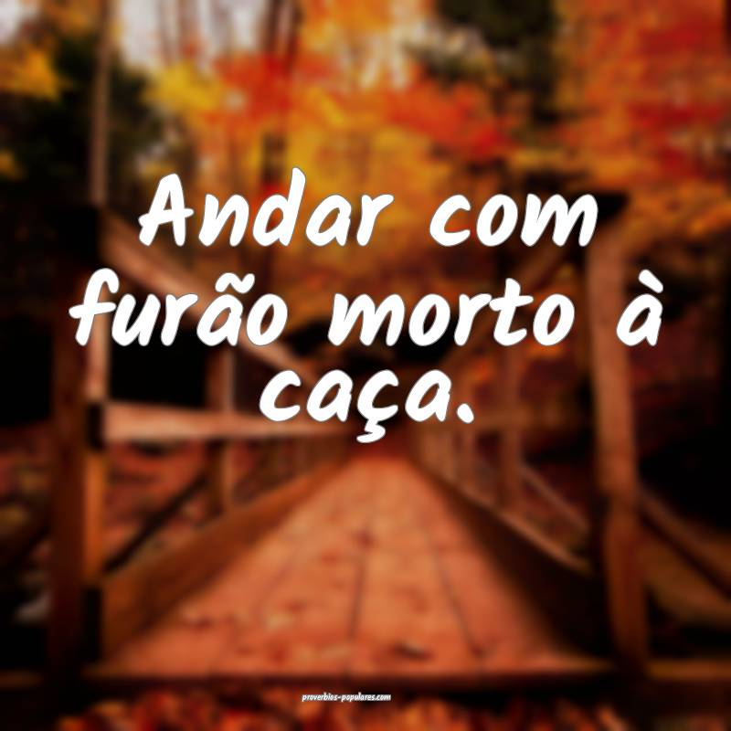 Andar com furão morto à caça.
 ...