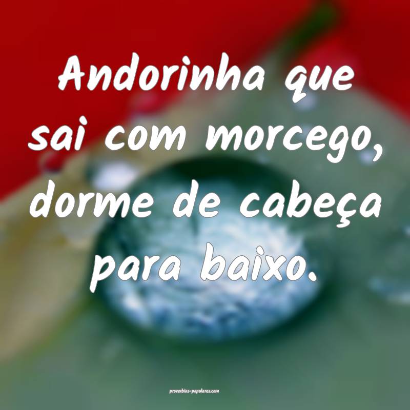 Andorinha que sai com morcego, dorme de cabeça para baixo.
...