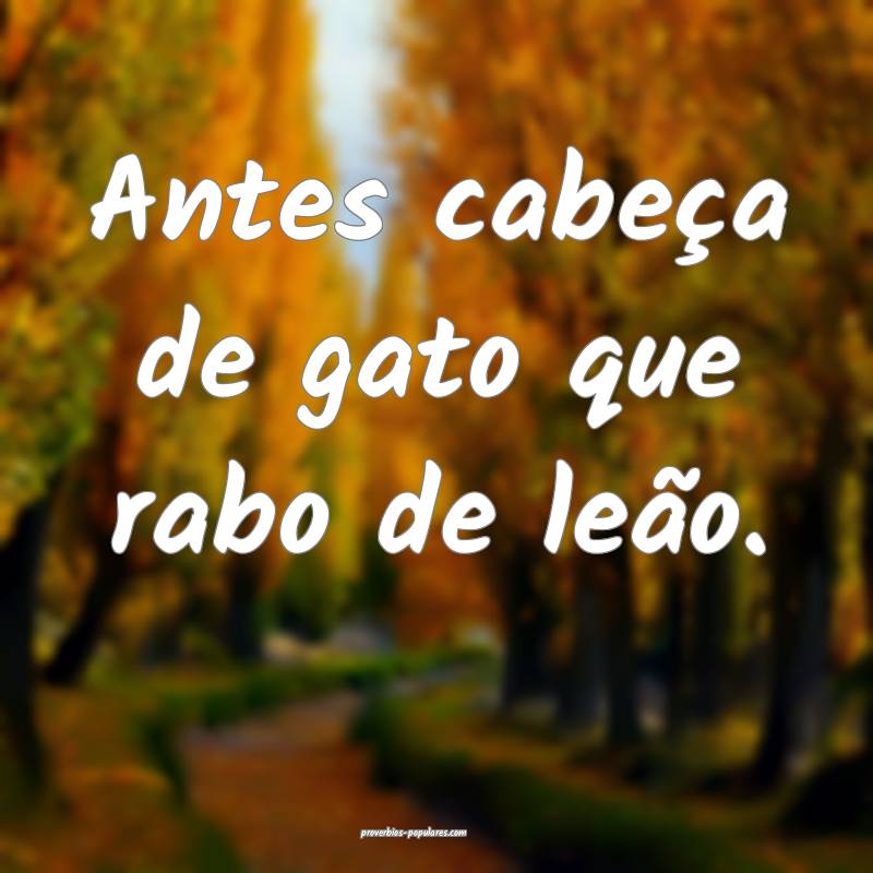 Antes cabeça de gato que rabo de leão.
...