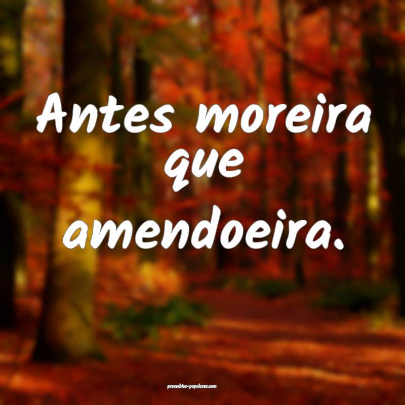 Antes moreira que amendoeira.
...