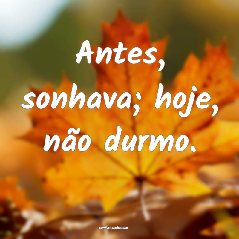 Antes, sonhava; hoje, não durmo.
...