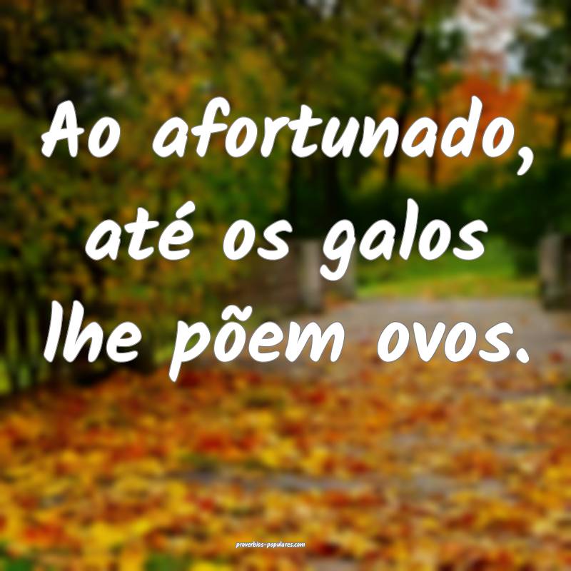 Ao afortunado, até os galos lhe põem ovos.
...