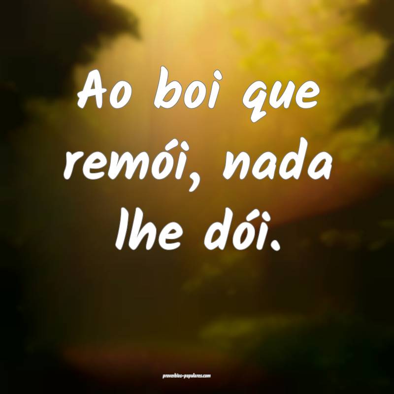 Ao boi que remói, nada lhe dói.
 ...