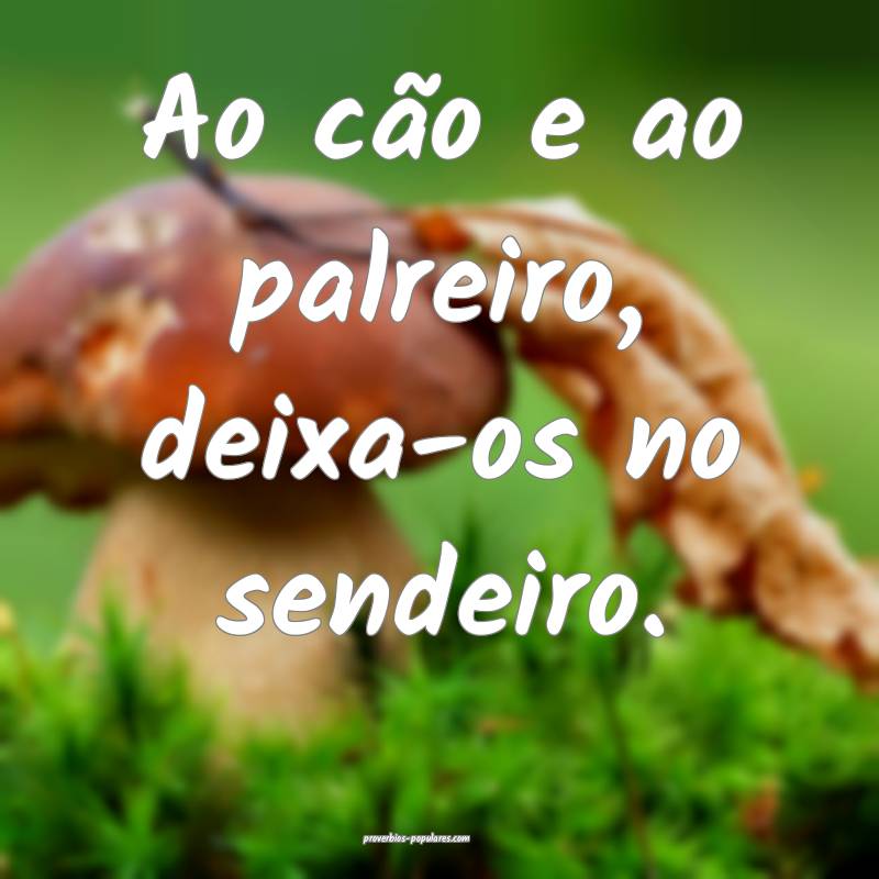 Ao cão e ao palreiro, deixa-os no sendeiro.
 ...