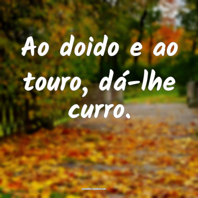 Ao doido e ao touro, dá-lhe curro.
...