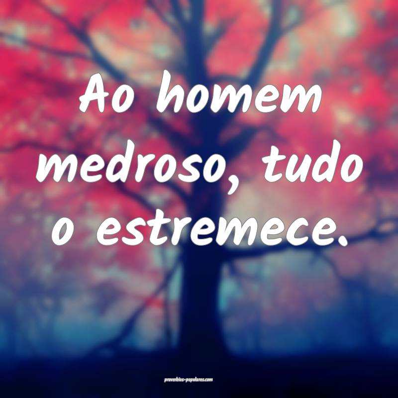 Ao homem medroso, tudo o estremece.
 ...