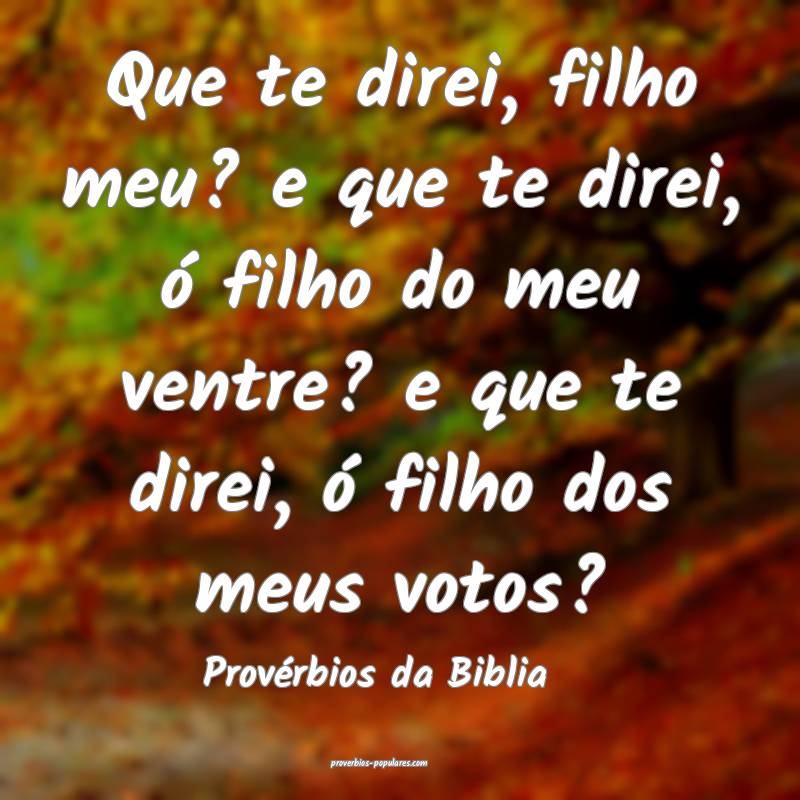 Que te direi, filho meu? e que te direi, ó filho do meu ventre? e que...