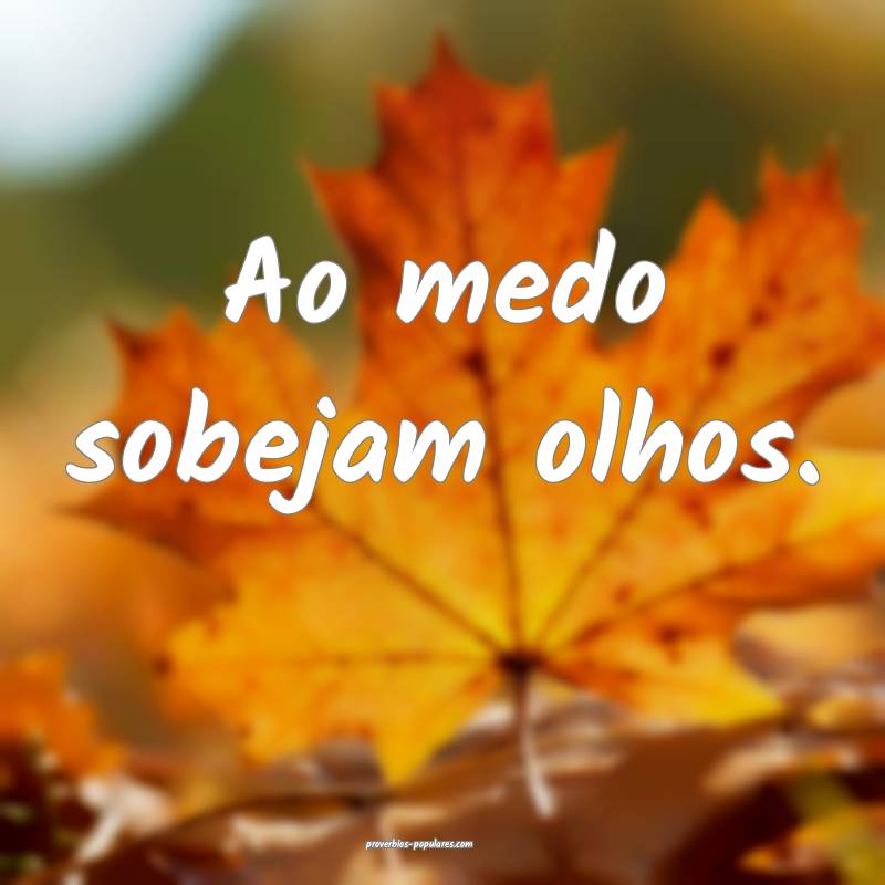 Ao medo sobejam olhos.
...