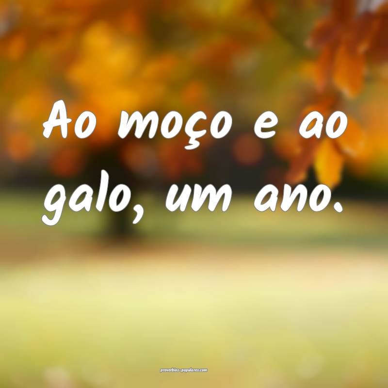 Ao moço e ao galo, um ano.
...