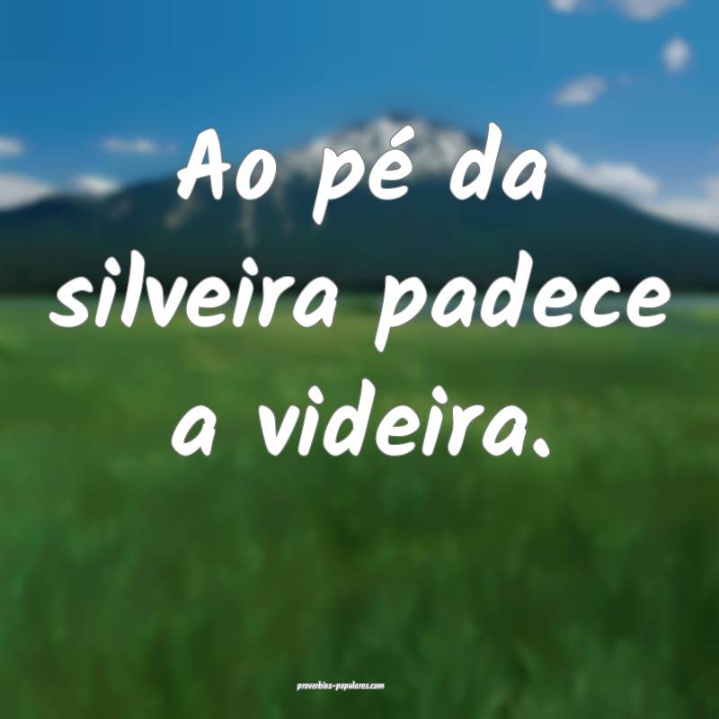 Ao pé da silveira padece a videira.
...