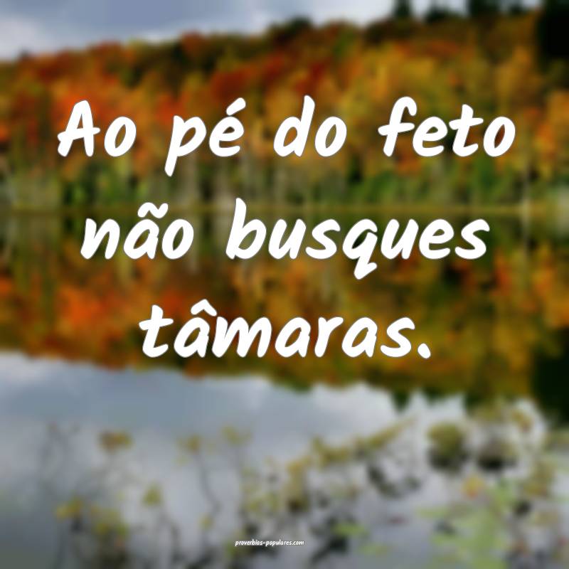 Ao pé do feto não busques tâmaras.
...