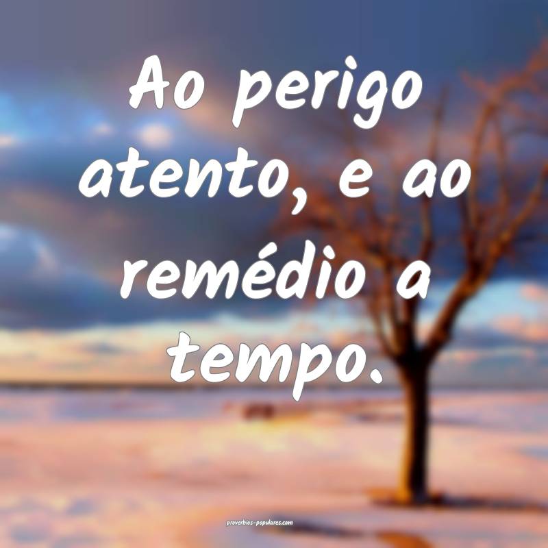 Ao perigo atento, e ao remédio a tempo.
...