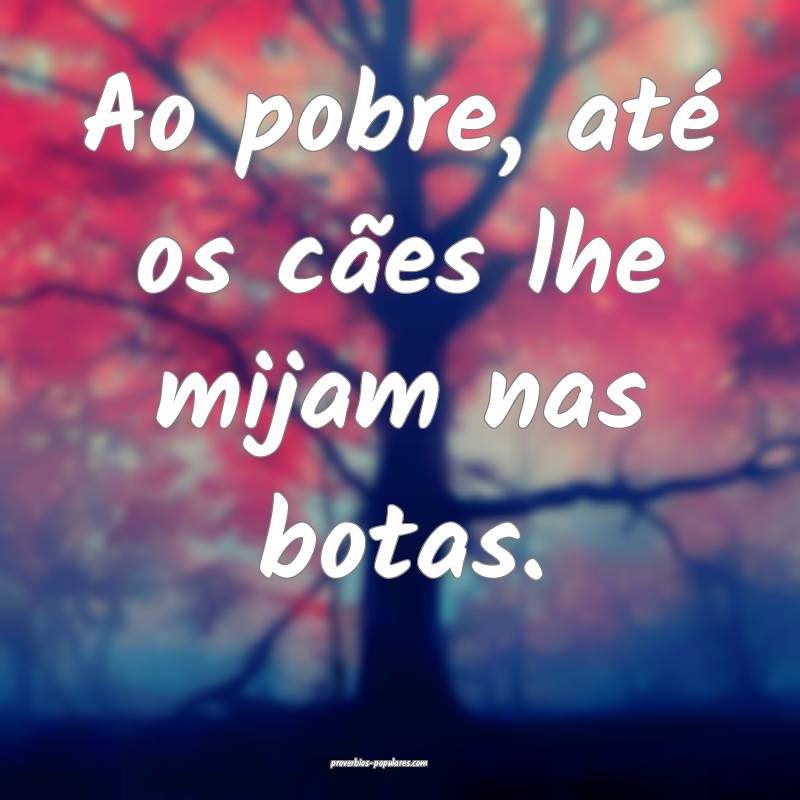 Ao pobre, até os cães lhe mijam nas botas.
...